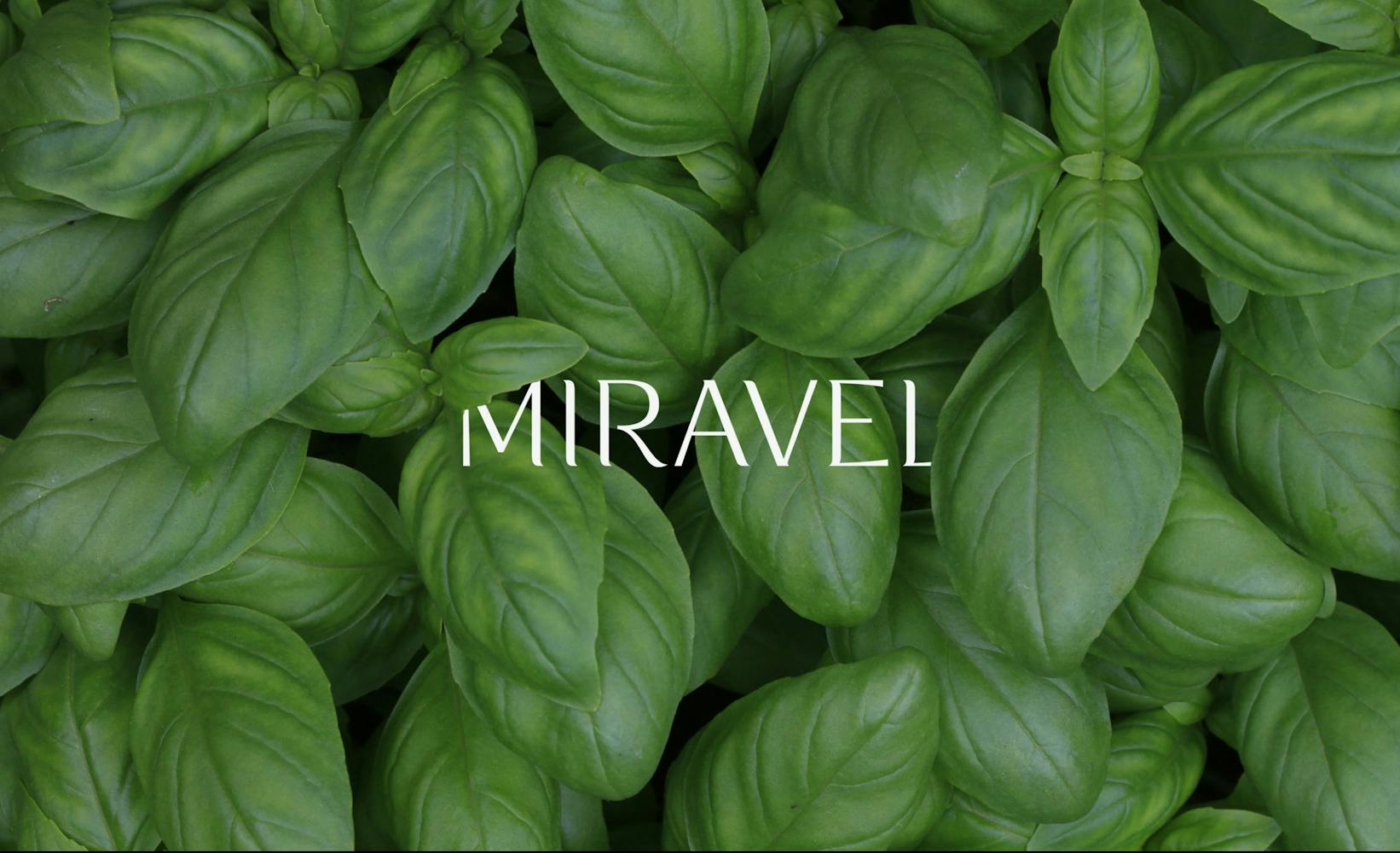 green leaves with text that reads Miravel