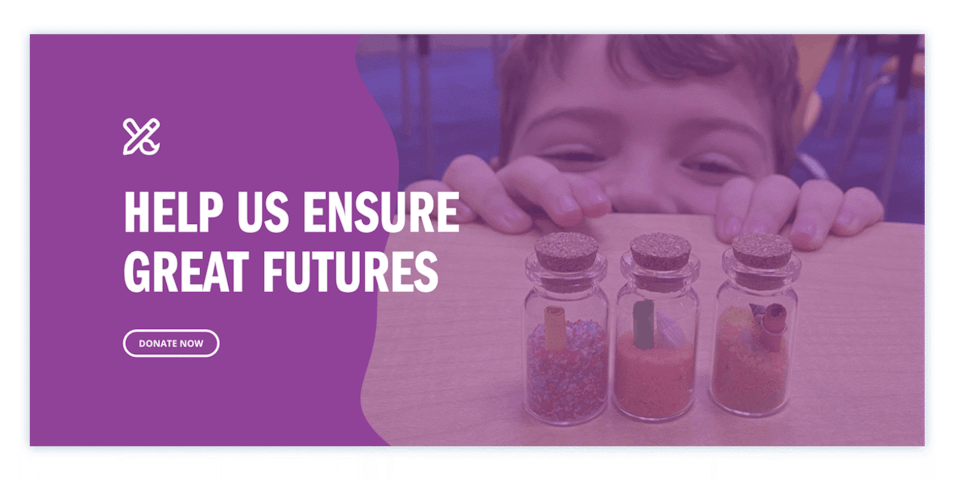A website module that says HELP US ENSURE GREAT FUTURES