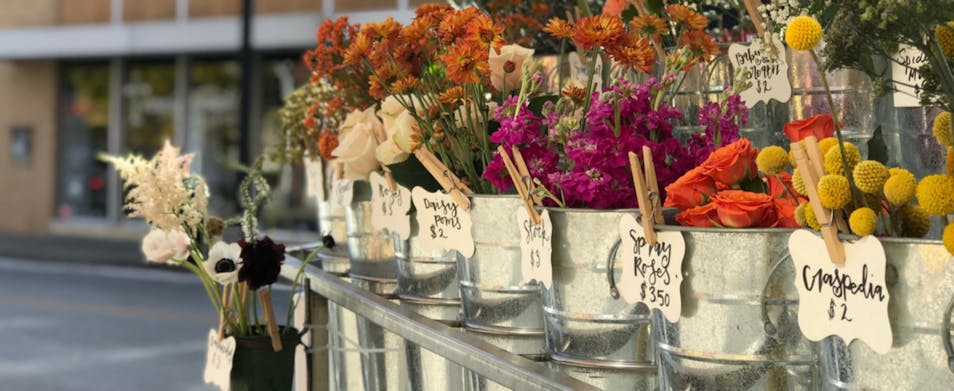 A row of fresh-cut flowers at the Ozark Mountain Flower Truck stand